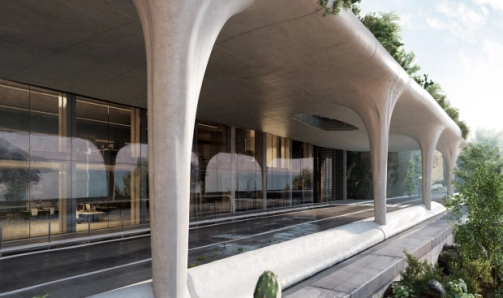 Developpement Mosaic Image 2